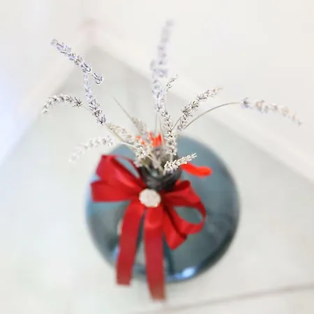 Apartman Zara 公寓 扎达尔